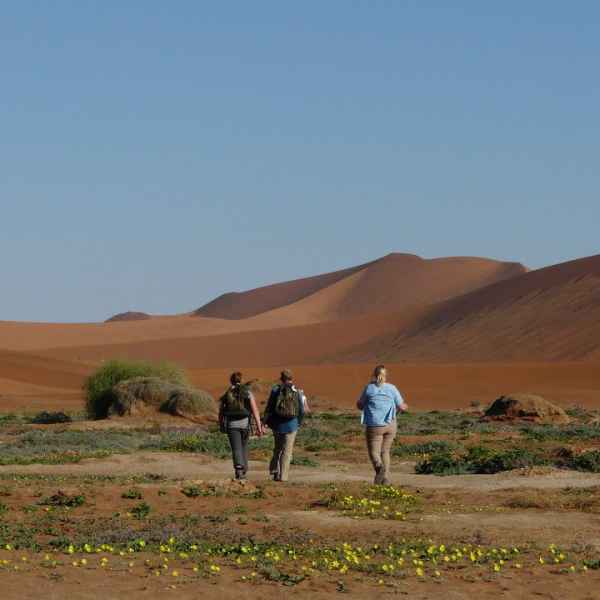 Wüstenwanderung in der Namib