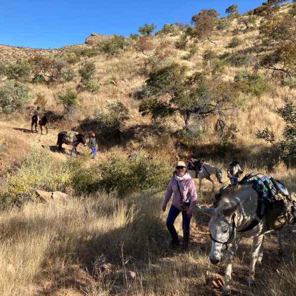 Muli Trekking in den Auas Bergen bei Windhoek