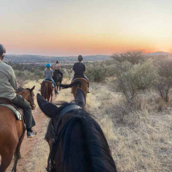 Busch Stables von Outdoor Adventure Safaris
