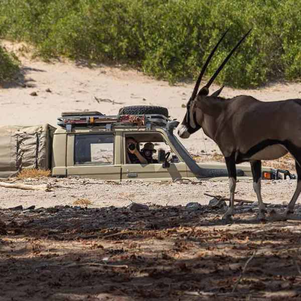 Oryxantilope im Hoanib Flussbett