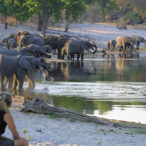 Elefanten im Babwata Nationalpark