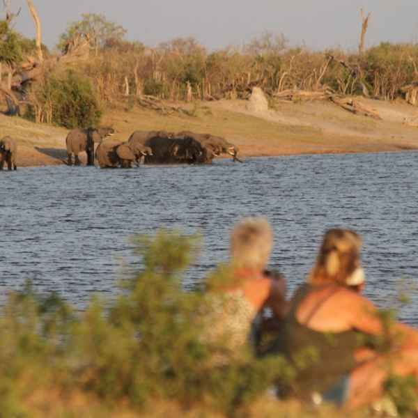 Sundowner mit Elefantenbeobachtung