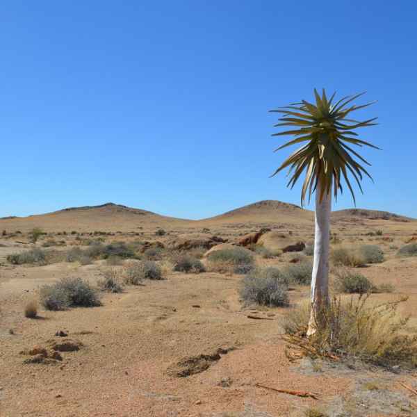 Namibias Sandwüste
