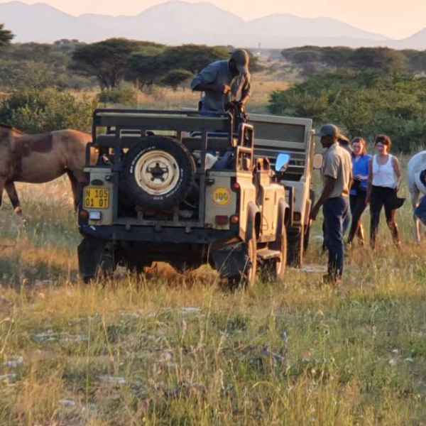 Reitsafaris in Namibia