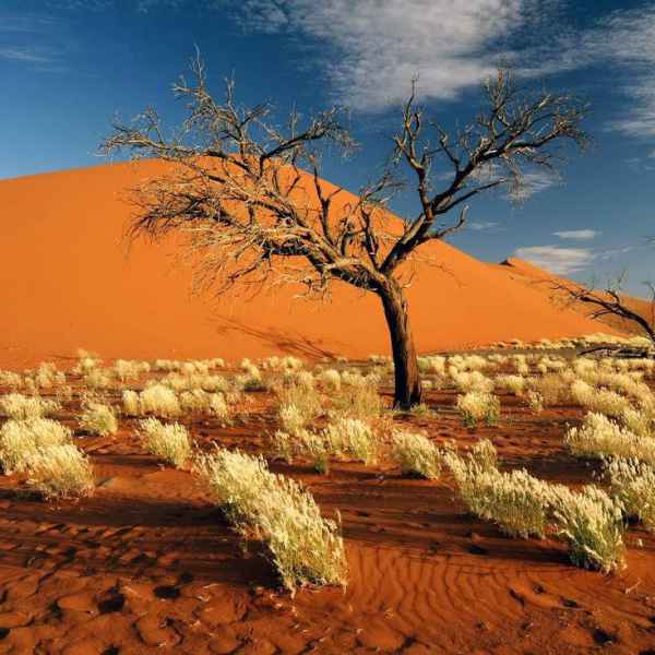 Namibwüste und Sossusvlei