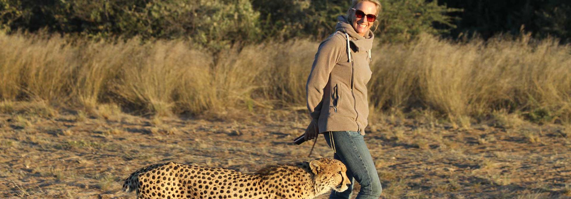 Gepardenprojekt in Namibia