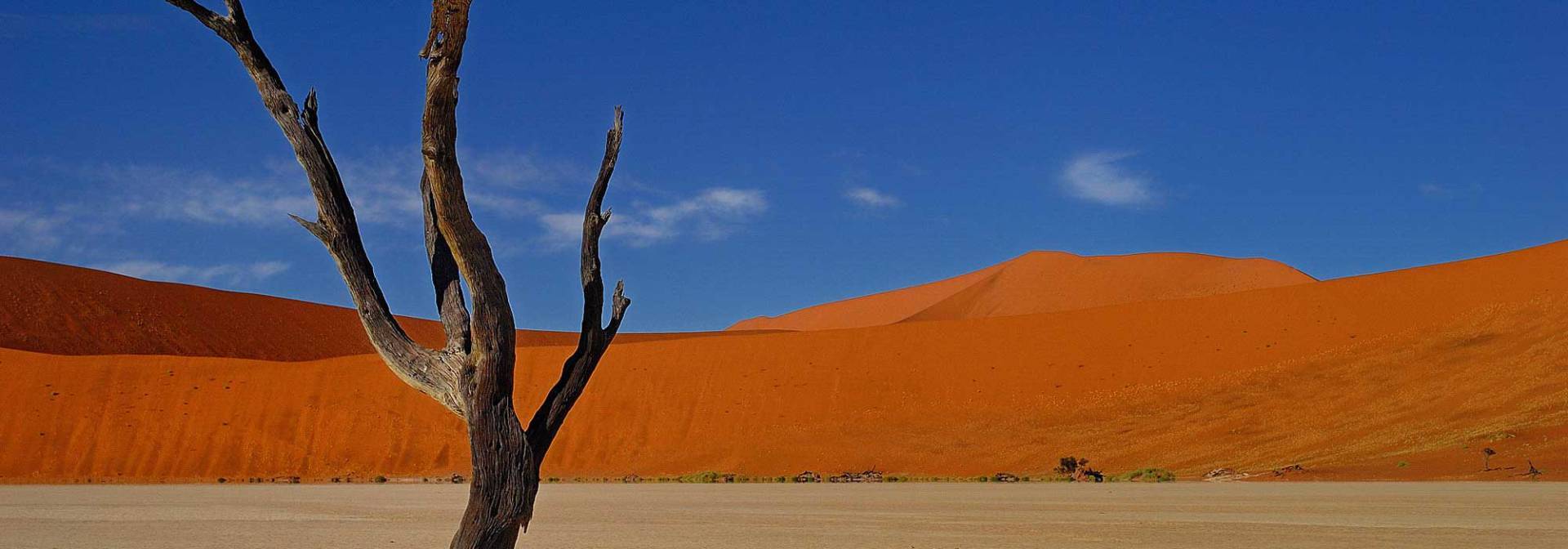 Dead Vlei close to the  Sossusvlei in Namibia
