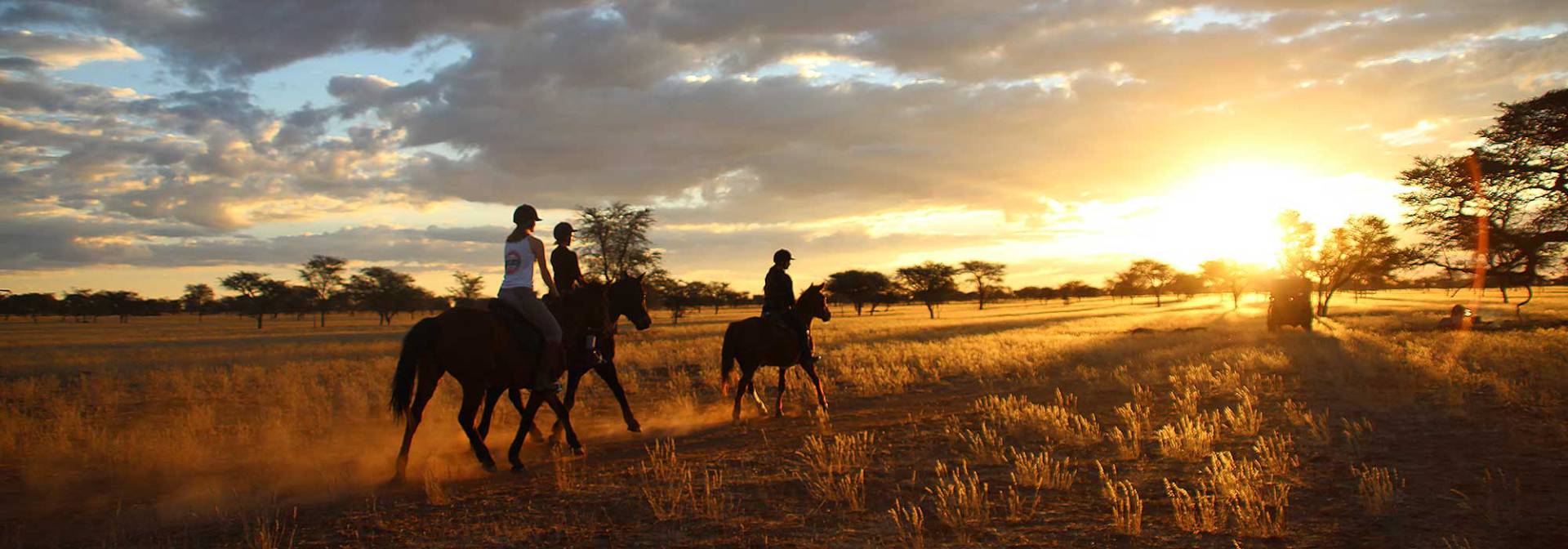 Sonnenuntergangsausritte in Namibia