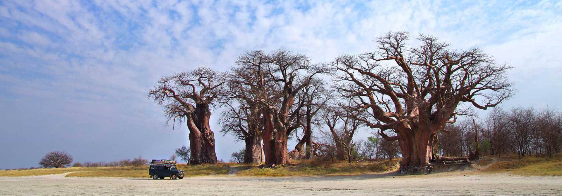 Baines Baobabs in Botswana