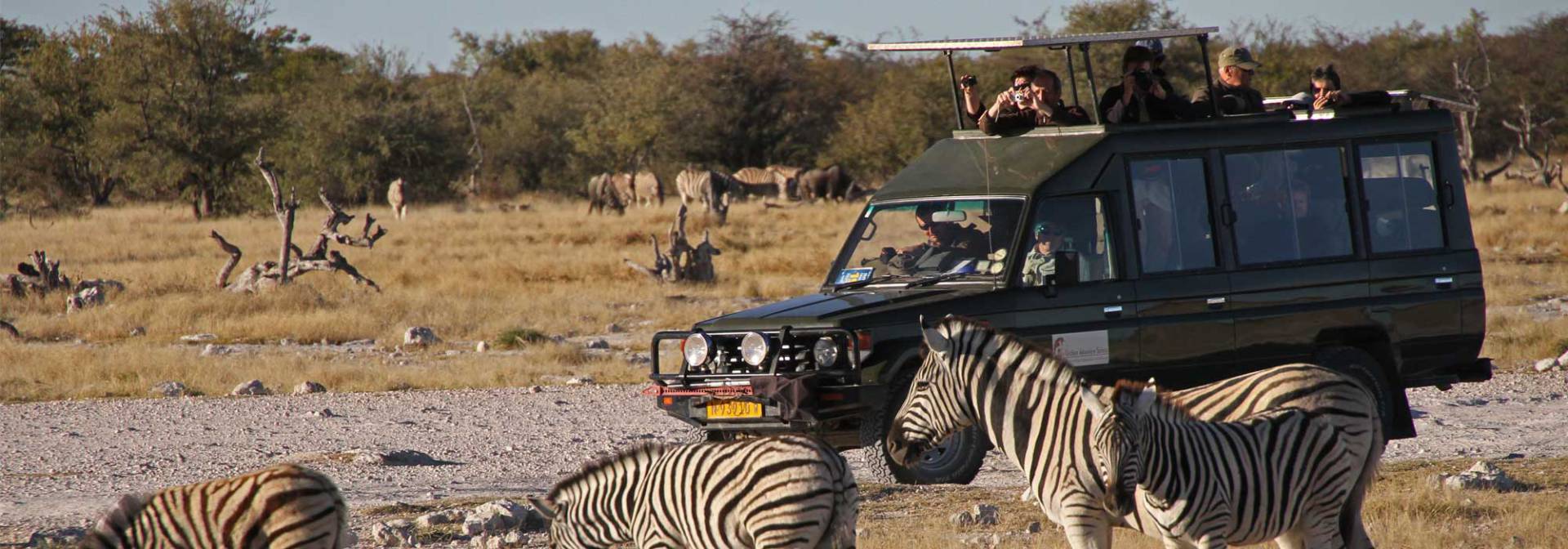 Etosha National Park with Outdoor Adventure Safaris